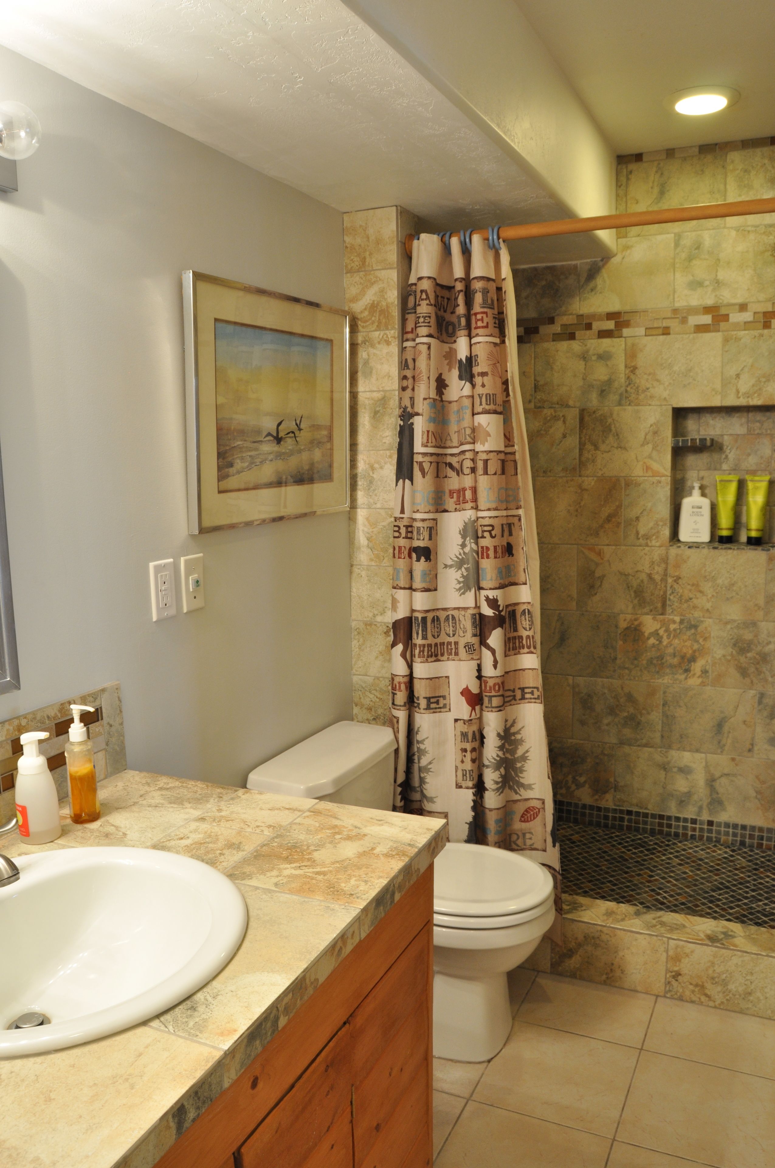 Ein Badezimmer mit Duschvorhang, Waschbecken, Toilette und einem gerahmten Bild an der Wand.