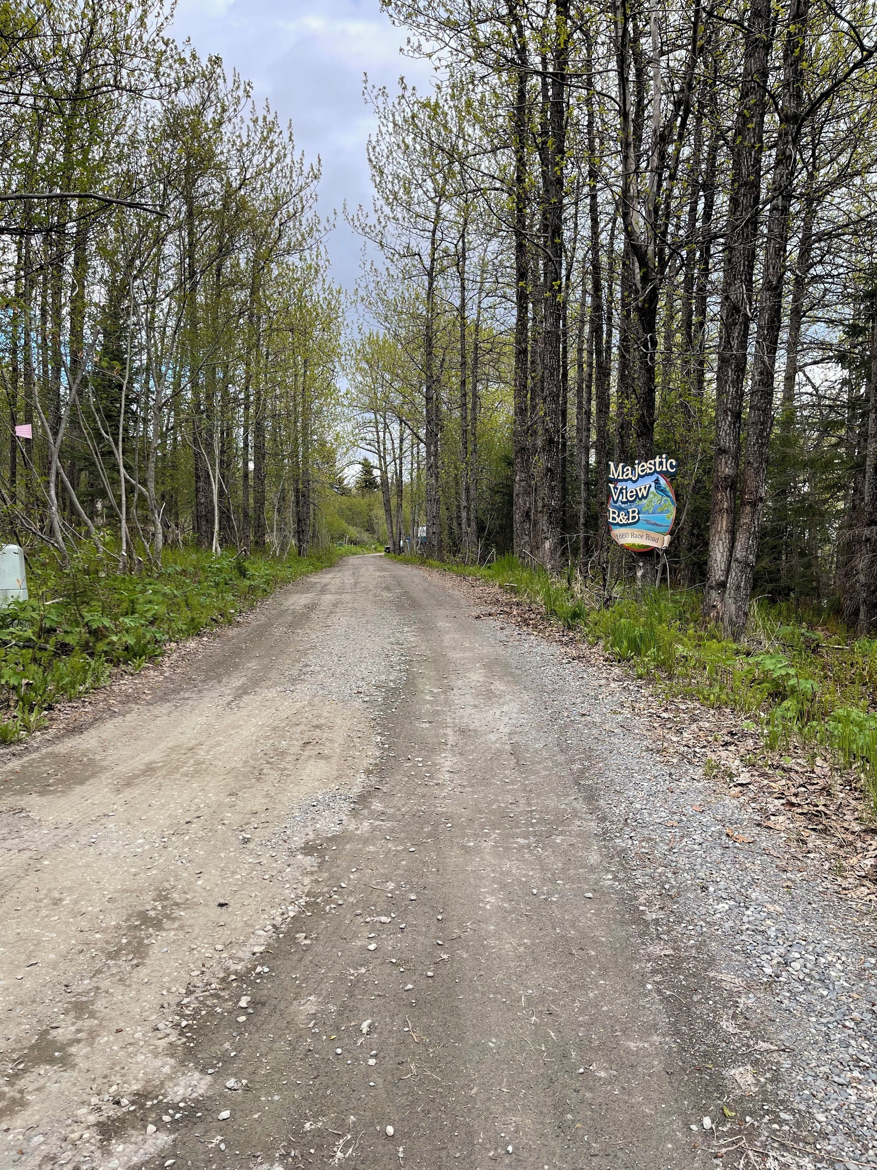 A dirt road flanked by trees and a sign for Majestic View B&B on High Ridge Road.