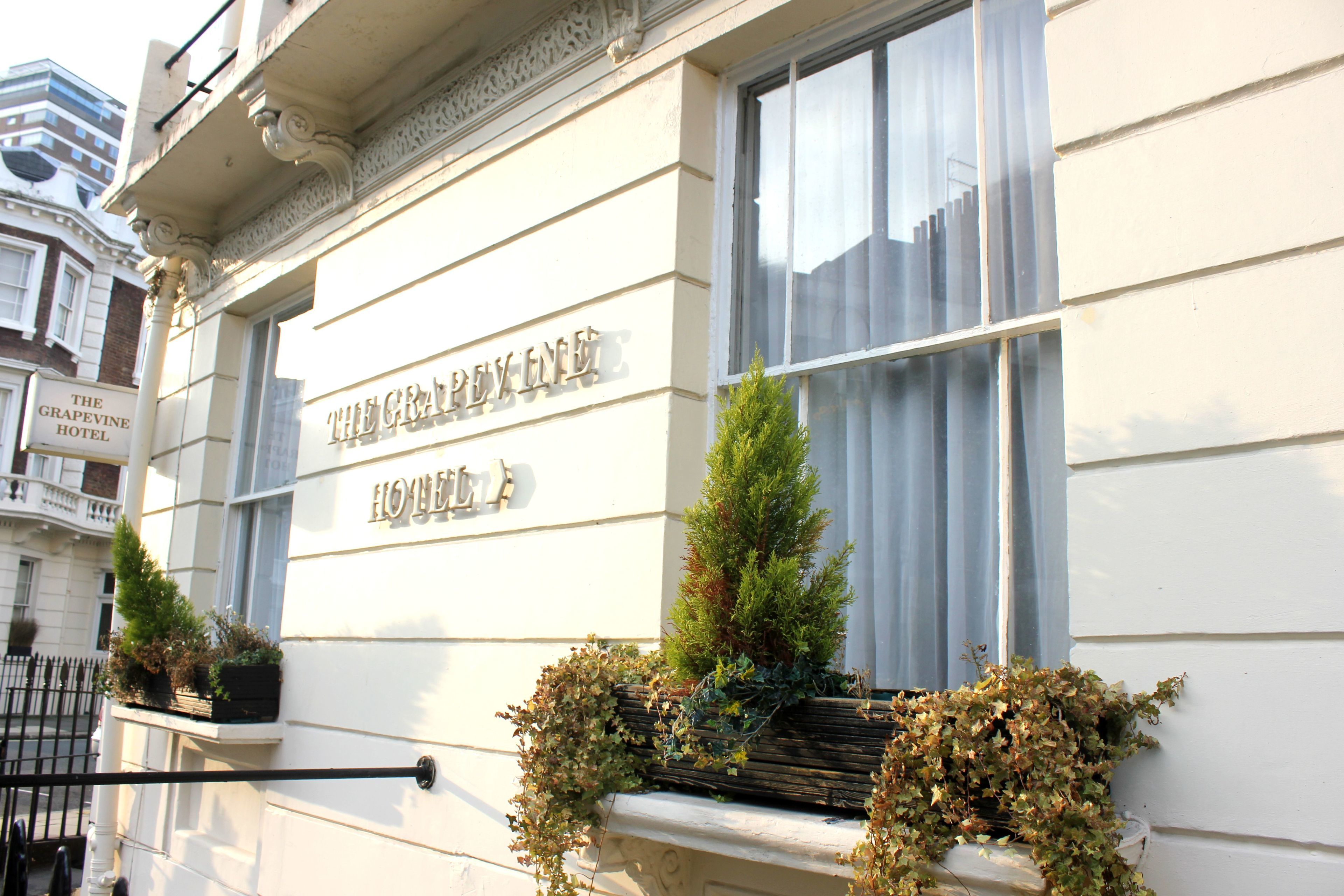 Foto - The Grapevine Hotel