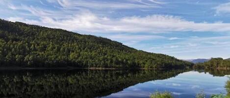 Un lac paisible, avec des collines densément boisées en arrière-plan.