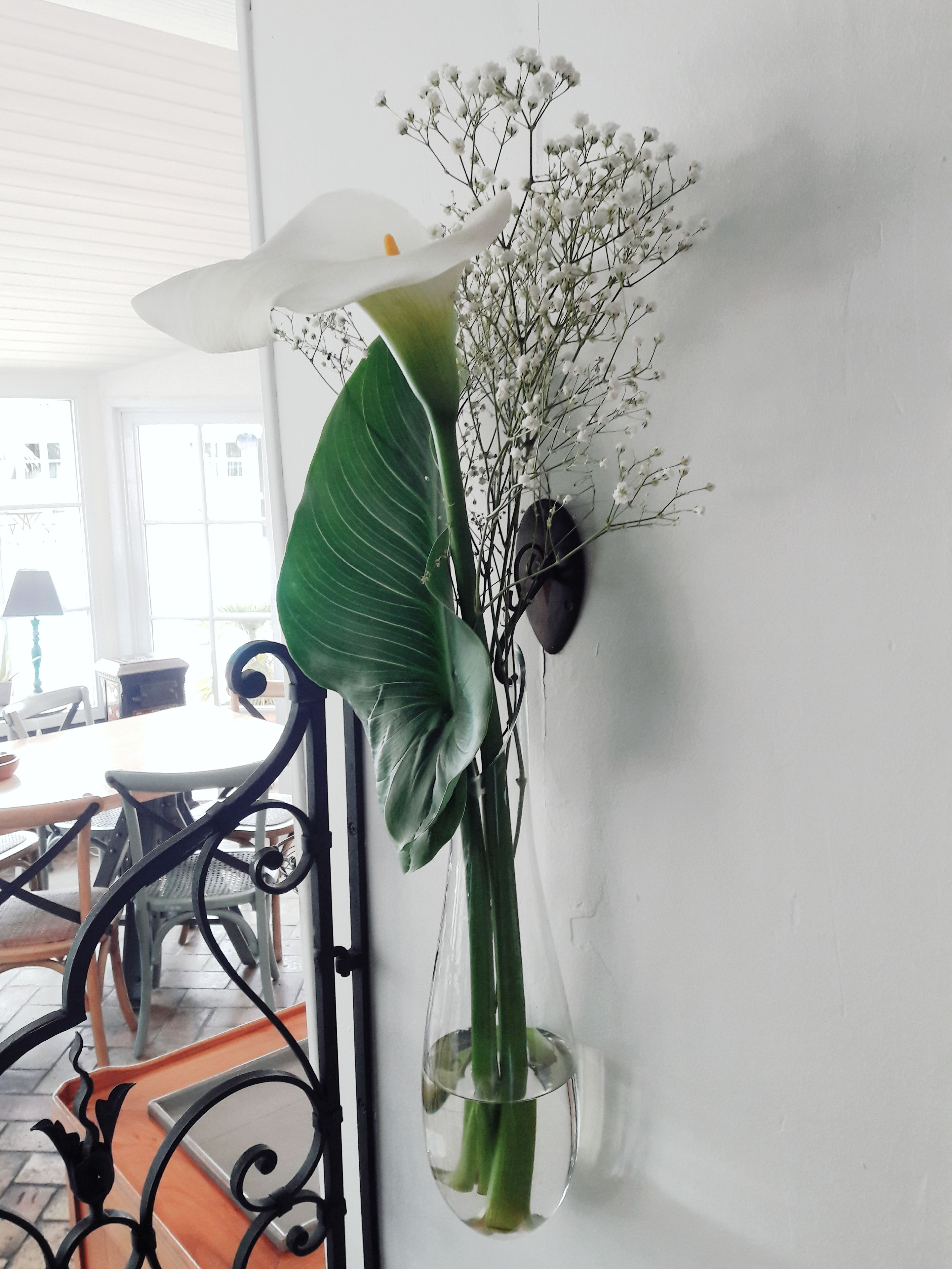 A room with a dining table, chairs, a lamp, and a wall-mounted decorative plant.
