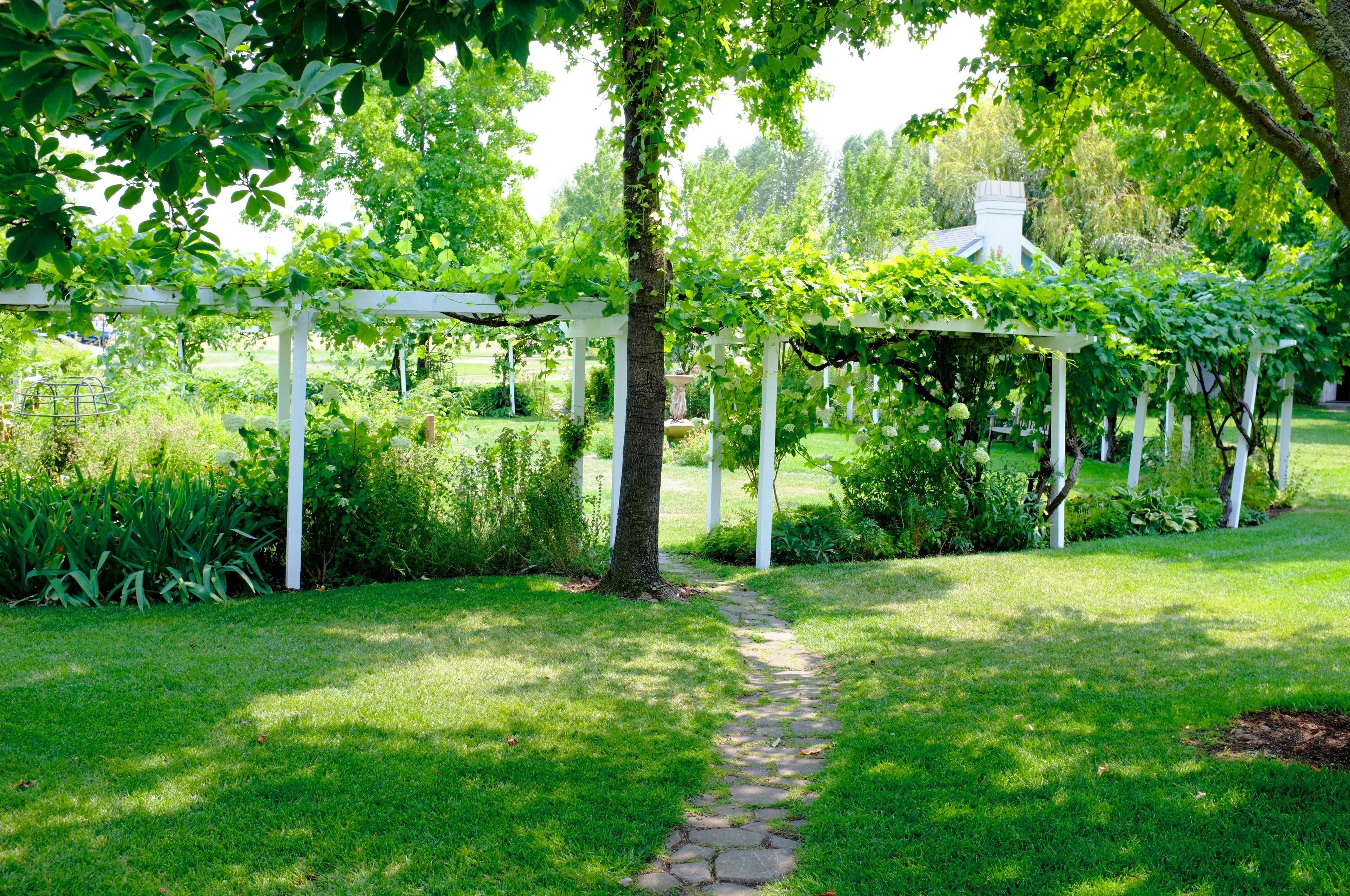 A garden with a stone pathway, white pergola, and lush greenery.