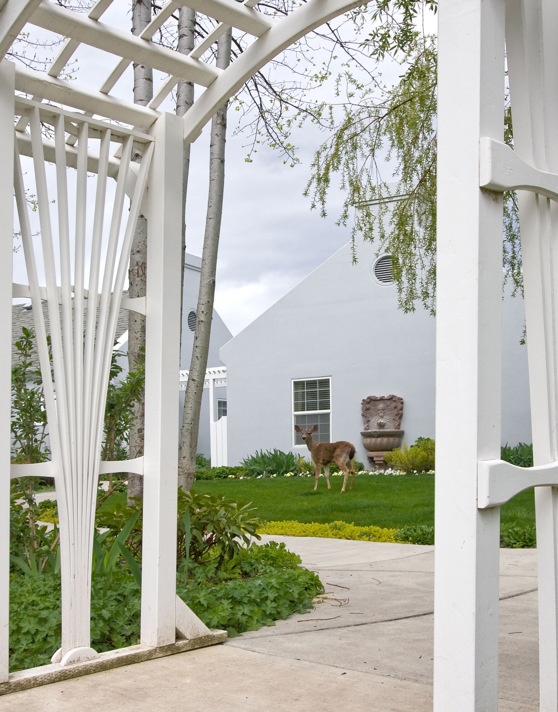 A white building with a geometric design, a deer in the foreground, and a white pergola structure.