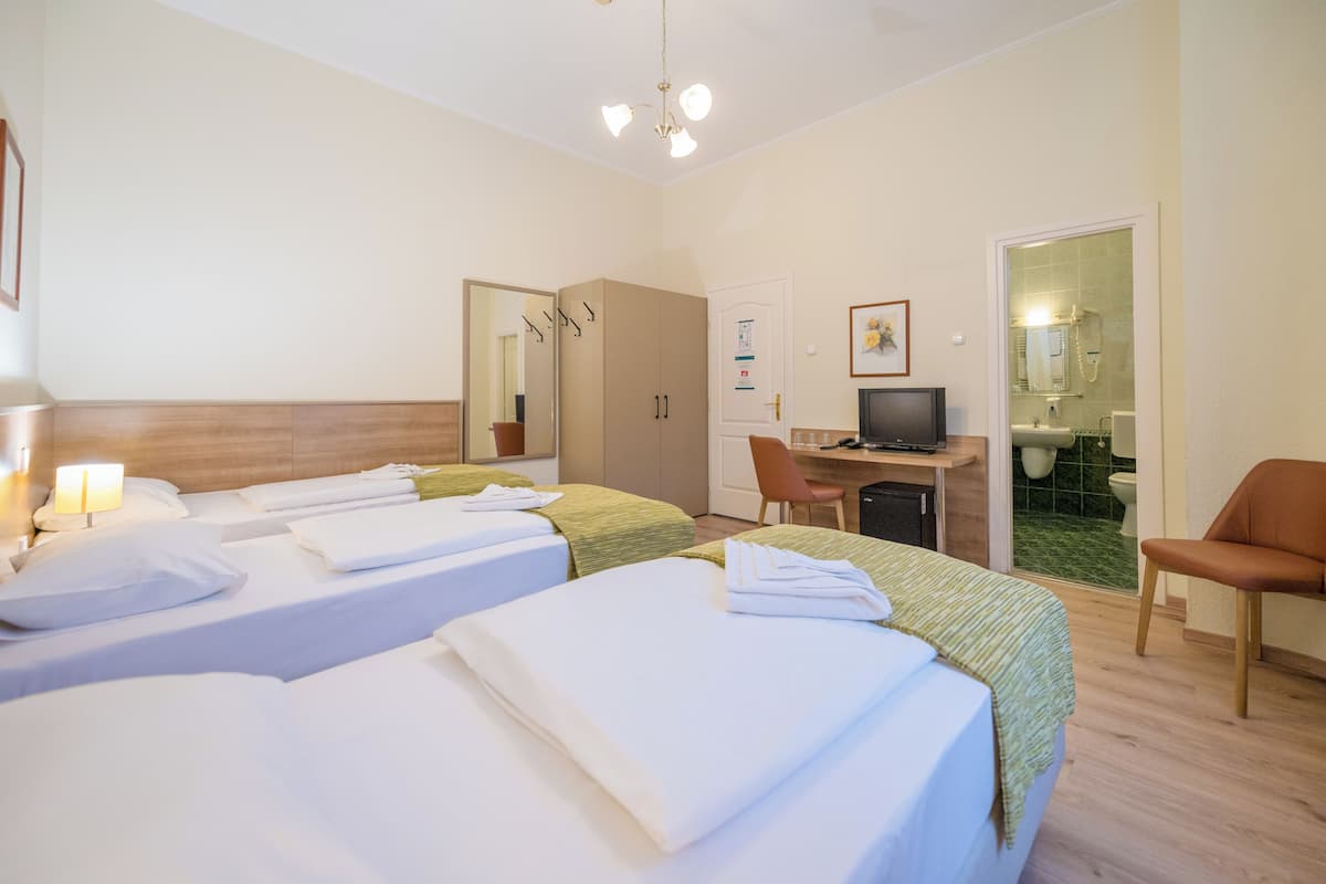 Desk, iron/ironing board (on request), rollaway beds, free WiFi