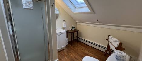 Une salle de bain avec douche, toilettes et lucarne.