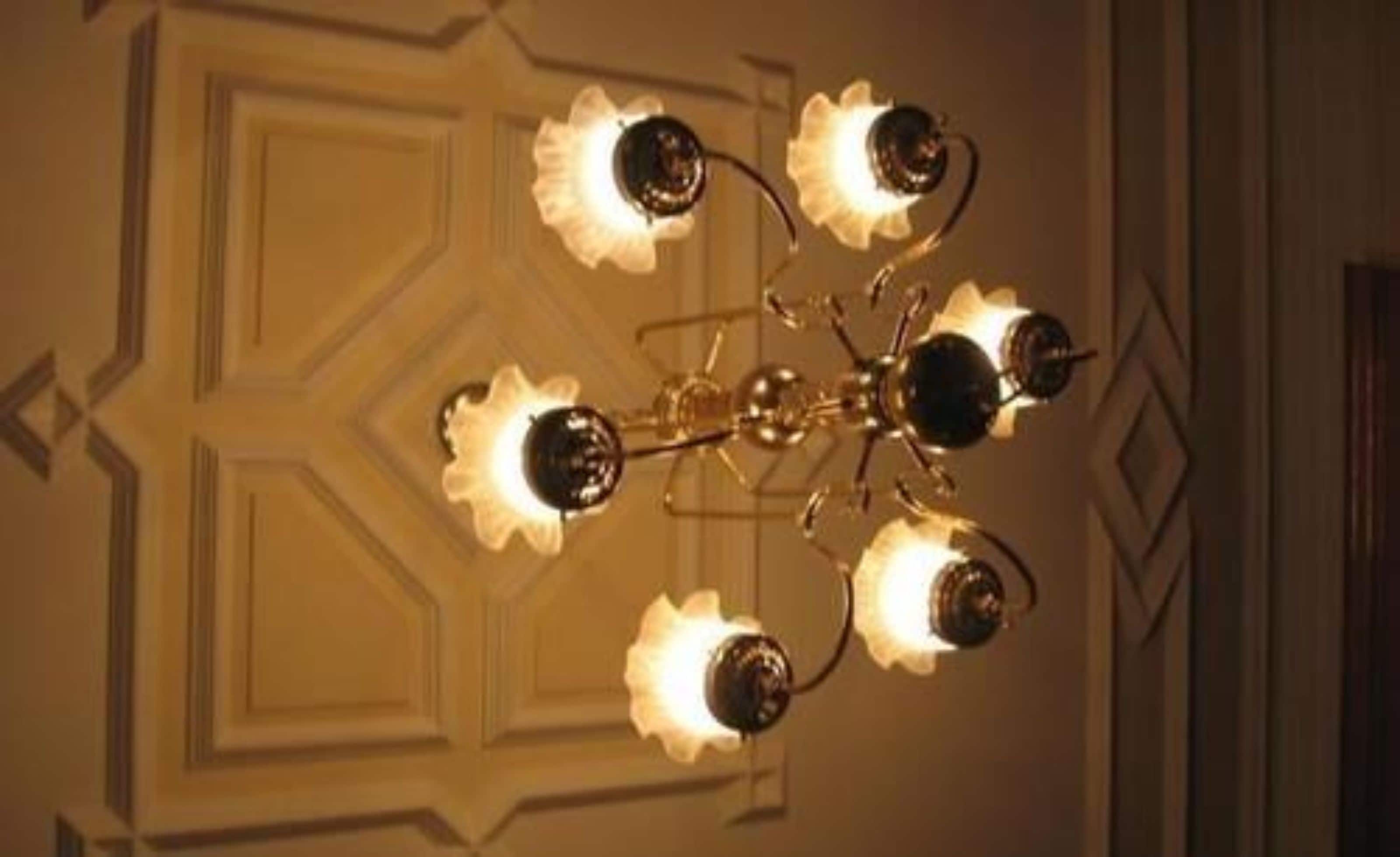 Un candelabro con múltiples luces frente a una pared estampada.