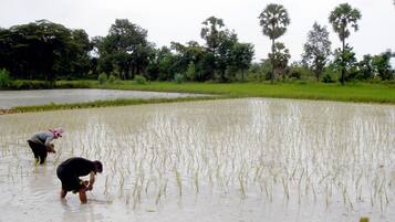 Traditional Villa, 2 Bedrooms, Private Pool, Pool View | Resort view