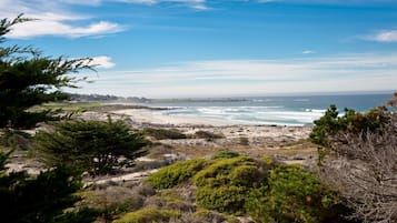 Plage, surf