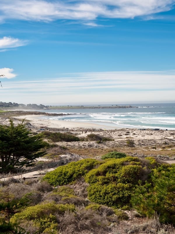 On the beach, surfing