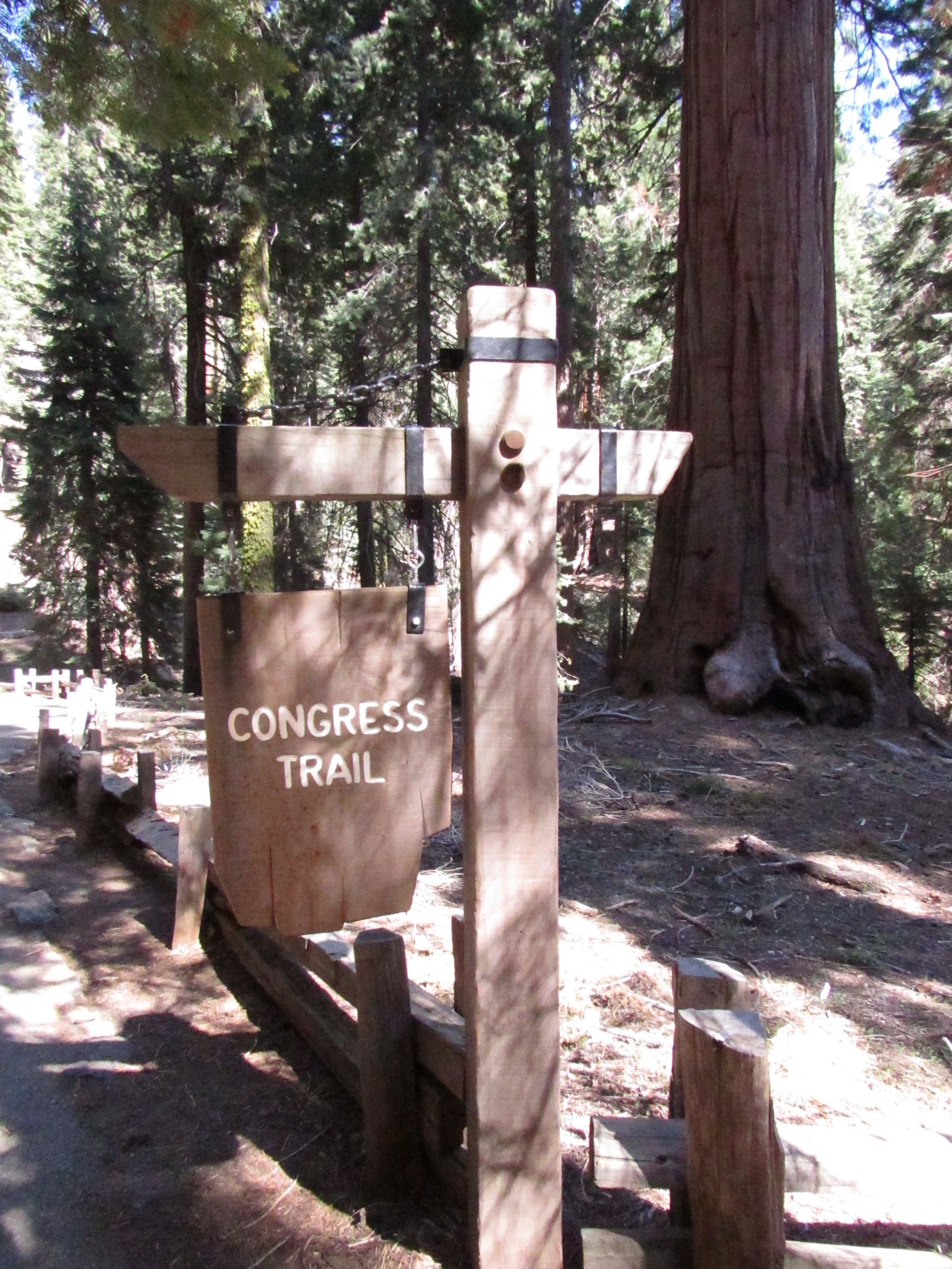 A wooden signpost with the text "CONGRESS TRAIL" indicating a hiking trail.