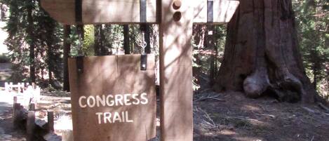 A wooden signpost with the text "CONGRESS TRAIL" indicating a hiking trail.