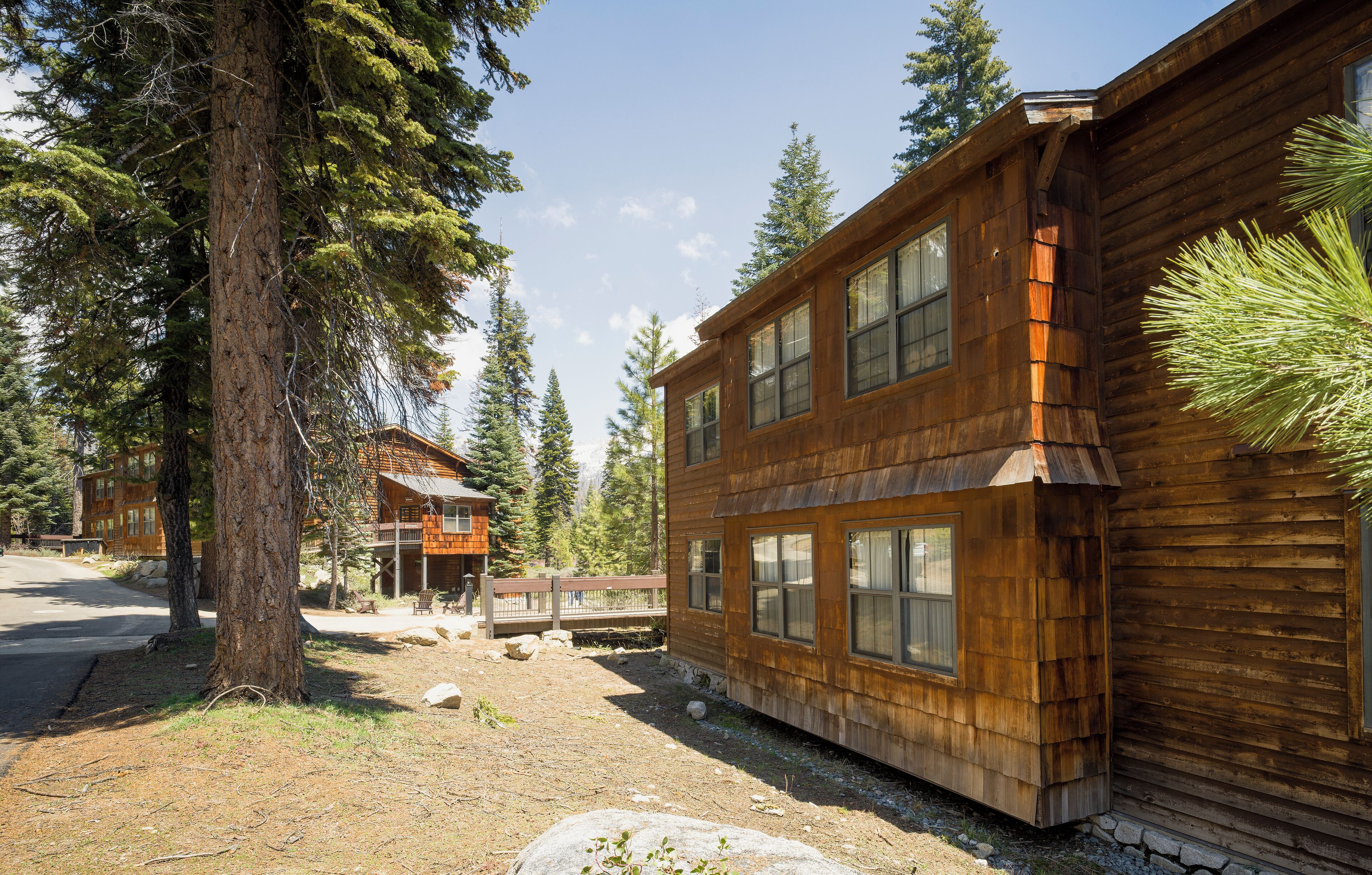 A rustic wooden cabin with multiple windows, surrounded by tall pine trees and a clear sky.