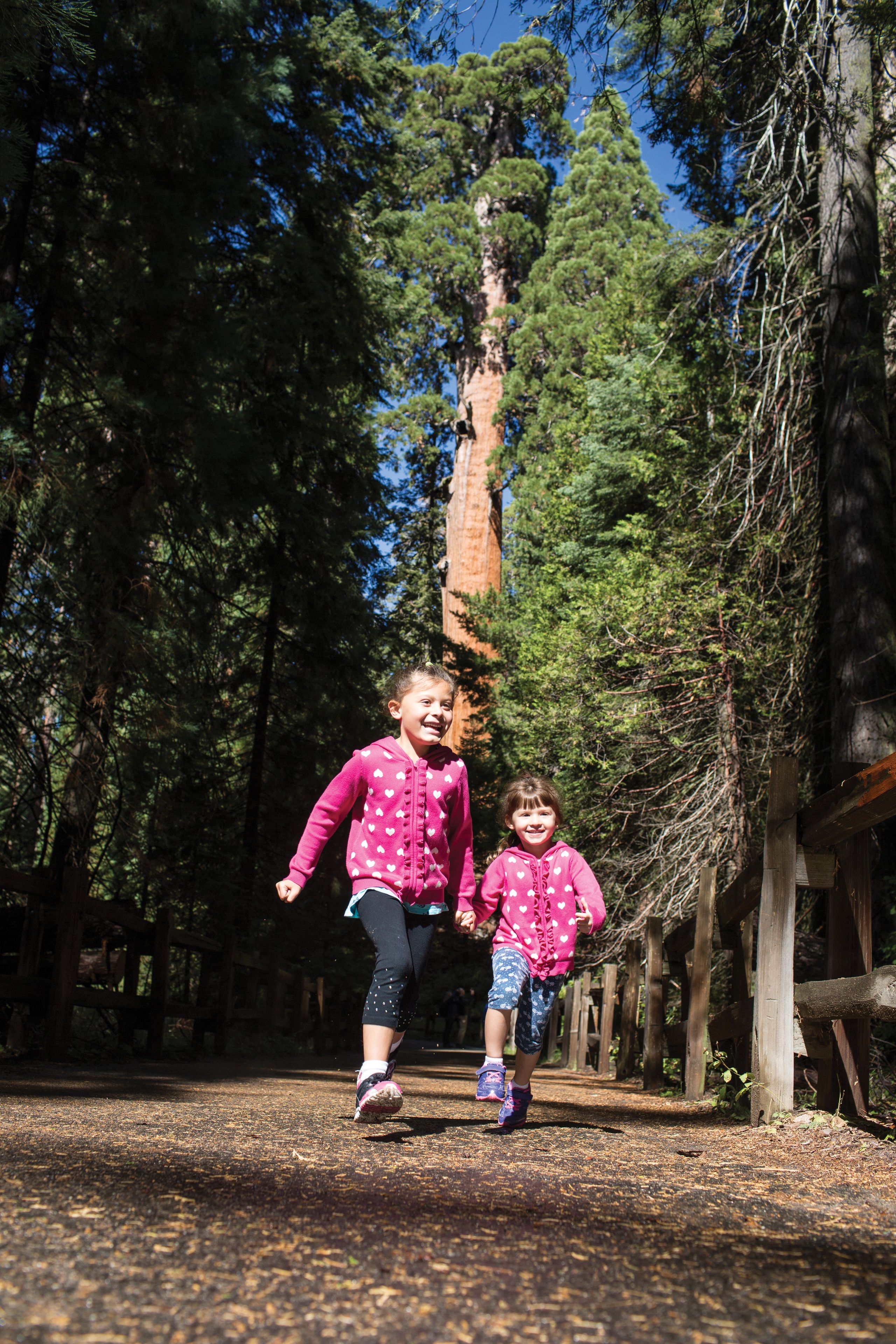 Dos niños caminando por un sendero en un bosque rodeado de árboles altos.