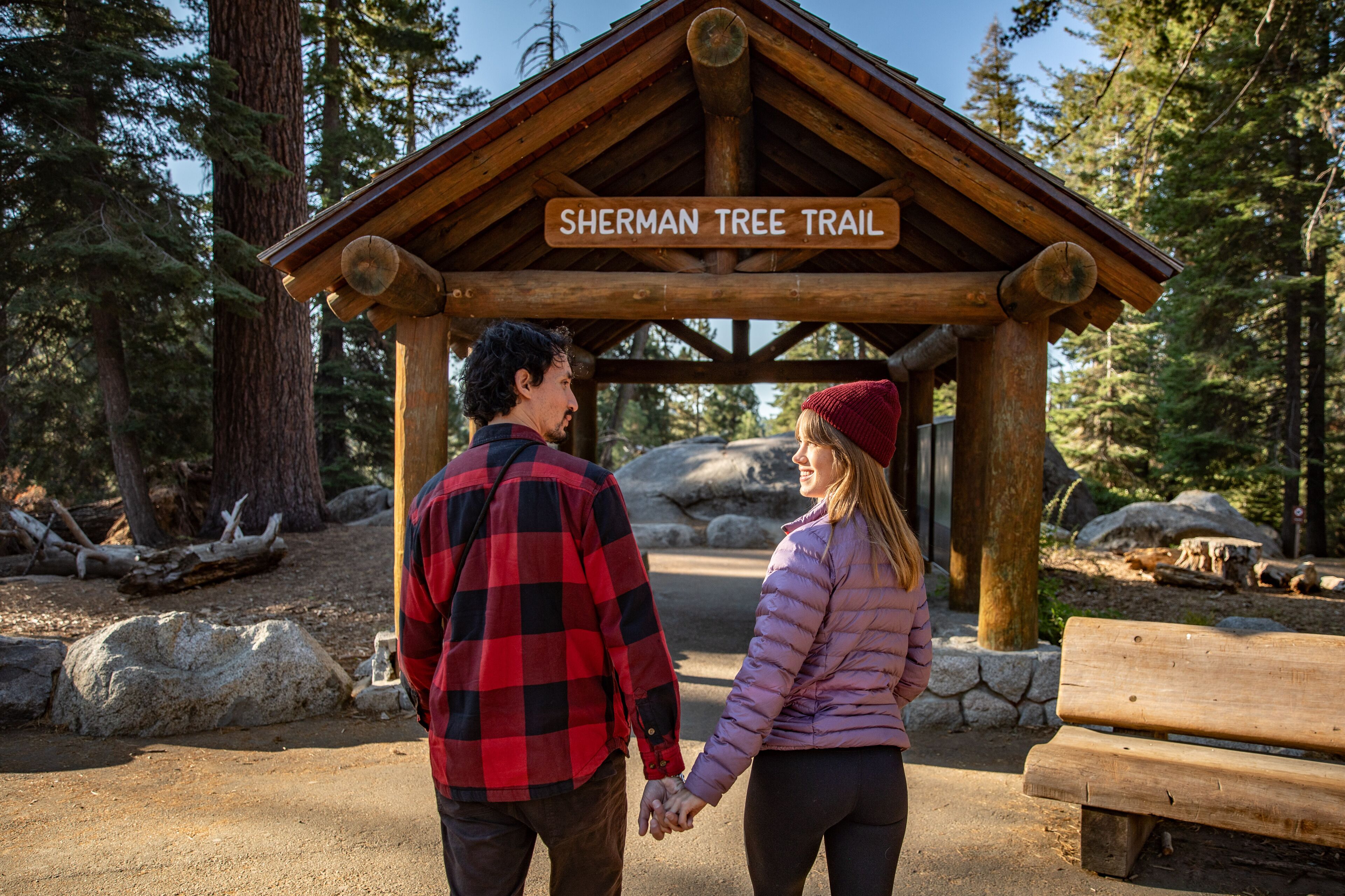 A wooden shelter with a sign reading "Sherman Tree Trail" in a forested area.