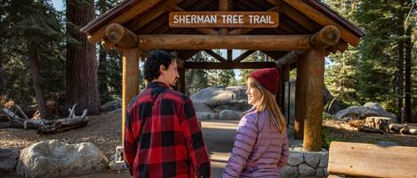 A wooden shelter with a sign reading "Sherman Tree Trail" in a forested area.