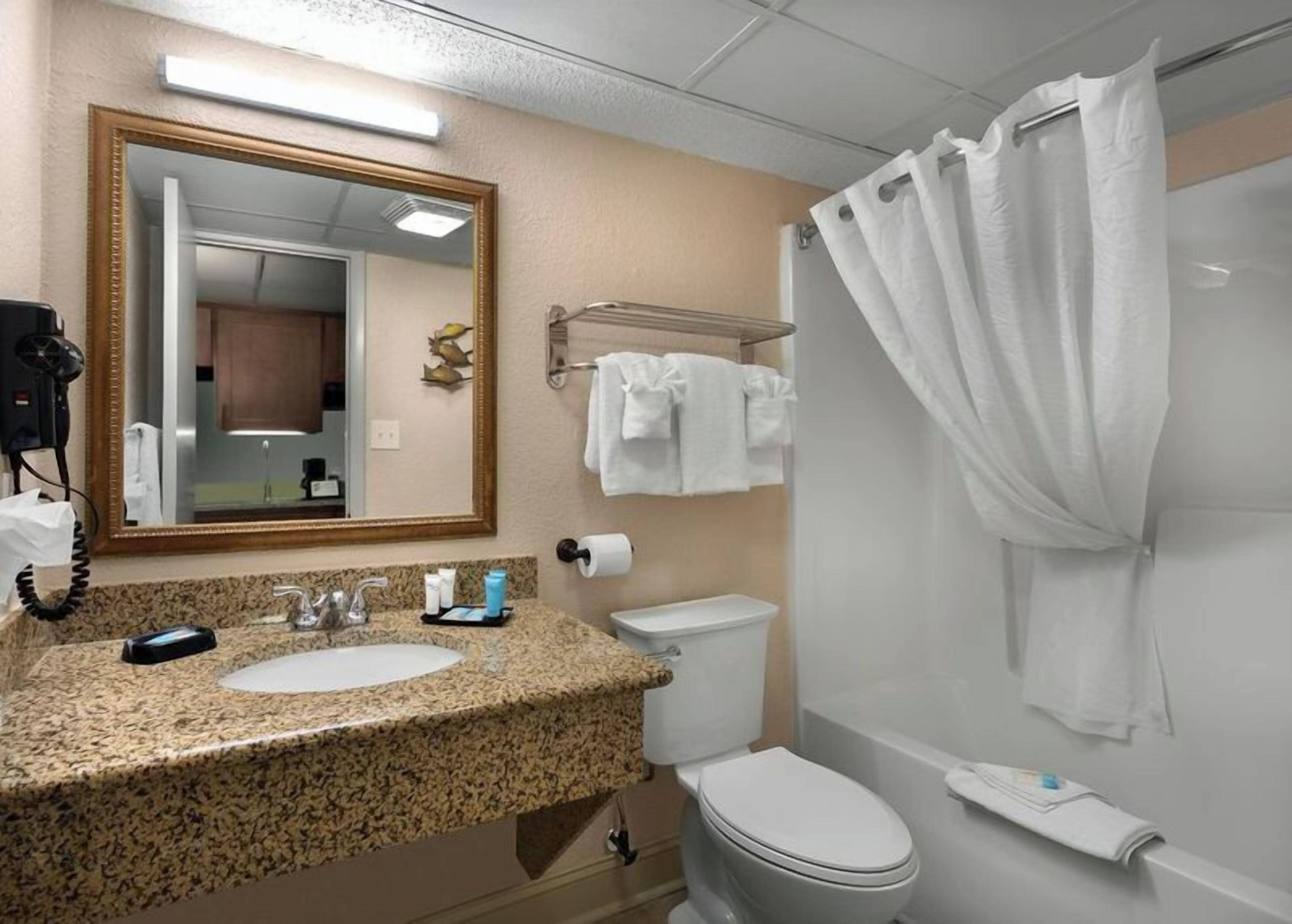 A bathroom with a granite countertop, a sink, a toilet, a shower with a curtain, and a mirror with a gold frame.