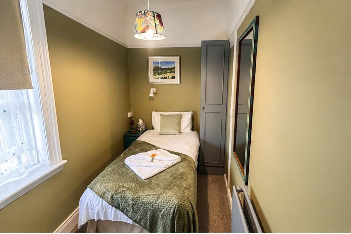 Habitación individual, baño privado | Muebles diferentes y espacio para trabajar con laptop