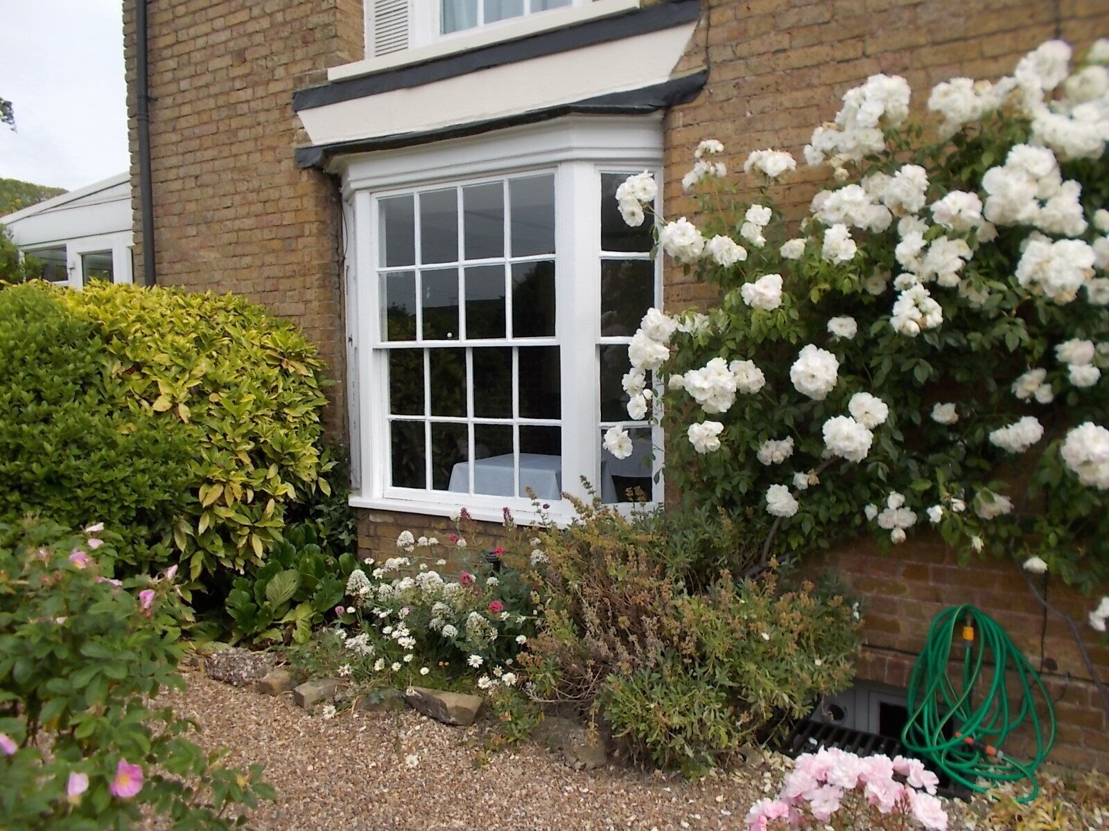 Une maison en briques avec une fenêtre blanche et un jardin où poussent différentes plantes et fleurs.