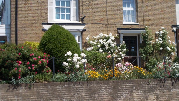 Ein Backsteinhaus mit weißen Fensterläden, ein gepflegter Garten mit verschiedenen Blumen und einem ordentlich geschnittenen Heckenstreifen.