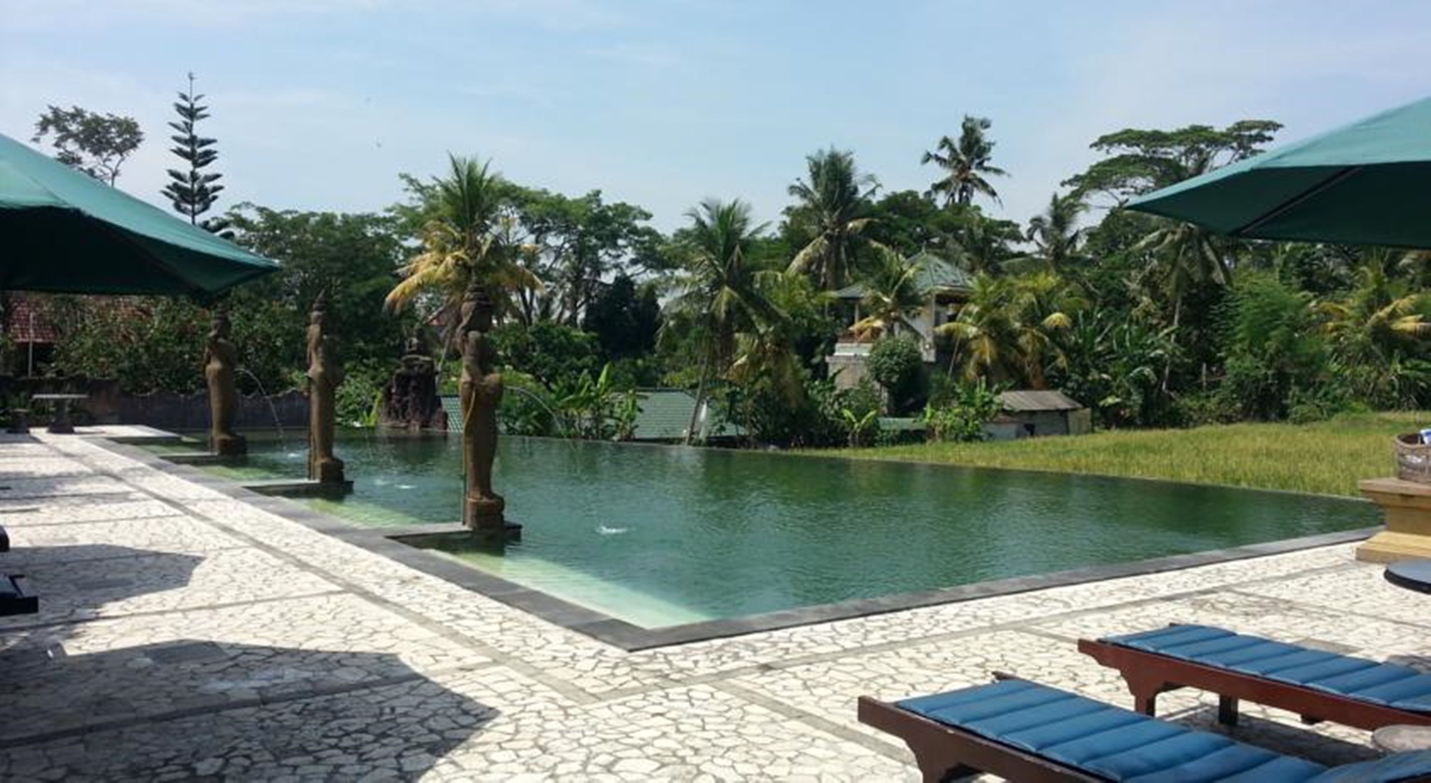 A swimming pool with a stone-tiled deck, surrounded by palm trees and greenery.