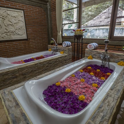 Hot tub, body treatments, hydrotherapy, body wraps, body scrubs, facials