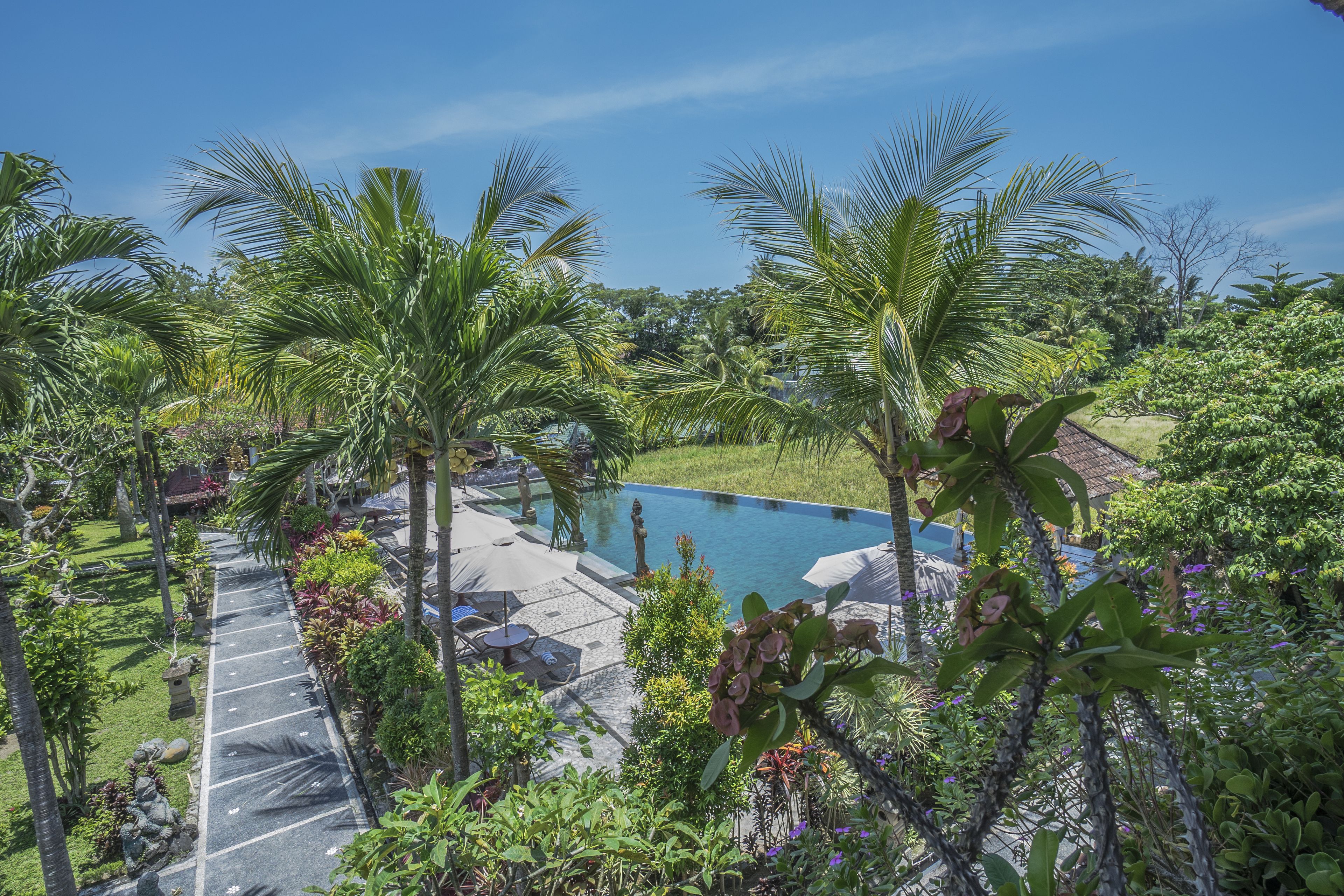 A pool area with palm trees, a clear blue sky, and a paved walkway.