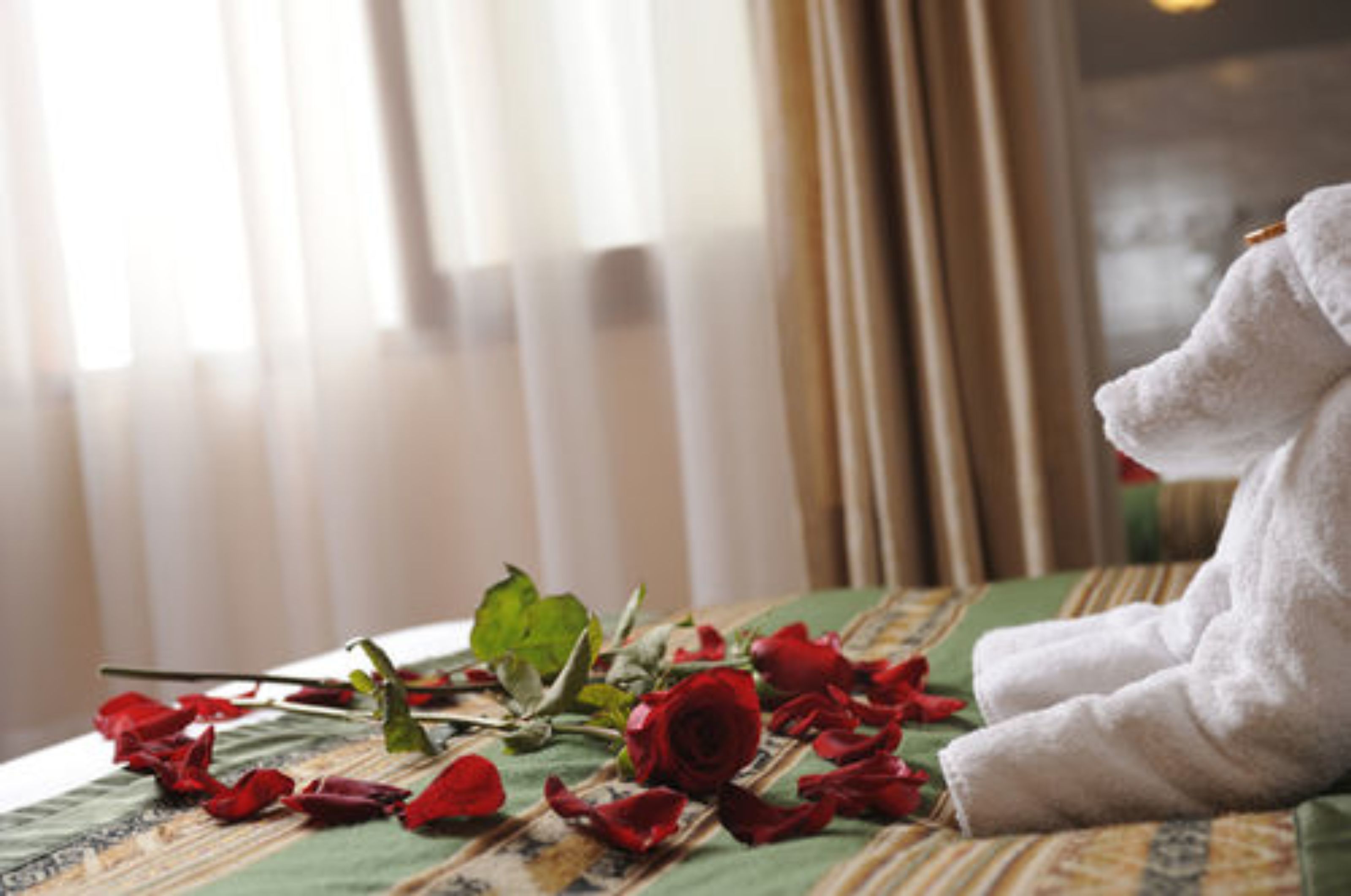 room (matrimonial o- doble) | premium bedding, down duvets, pillow-top beds, minibar