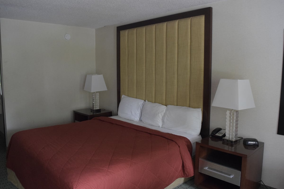 Desk, soundproofing, iron/ironing board, WiFi (free)