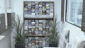 A reception area with a bulletin board displaying various brochures, two potted plants, a white upholstered bench, and a window with blinds. - Motel 6 San Francisco, CA – Great Highway (San Francisco)