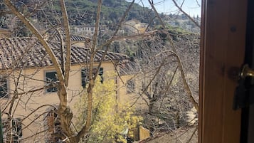 丘陵景