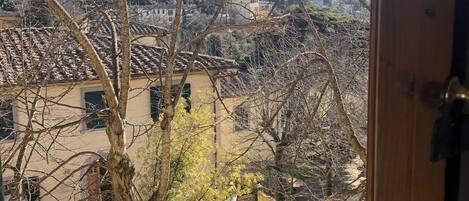A view through a window of a building with a tiled roof, bare trees, and a hillside in the background.
