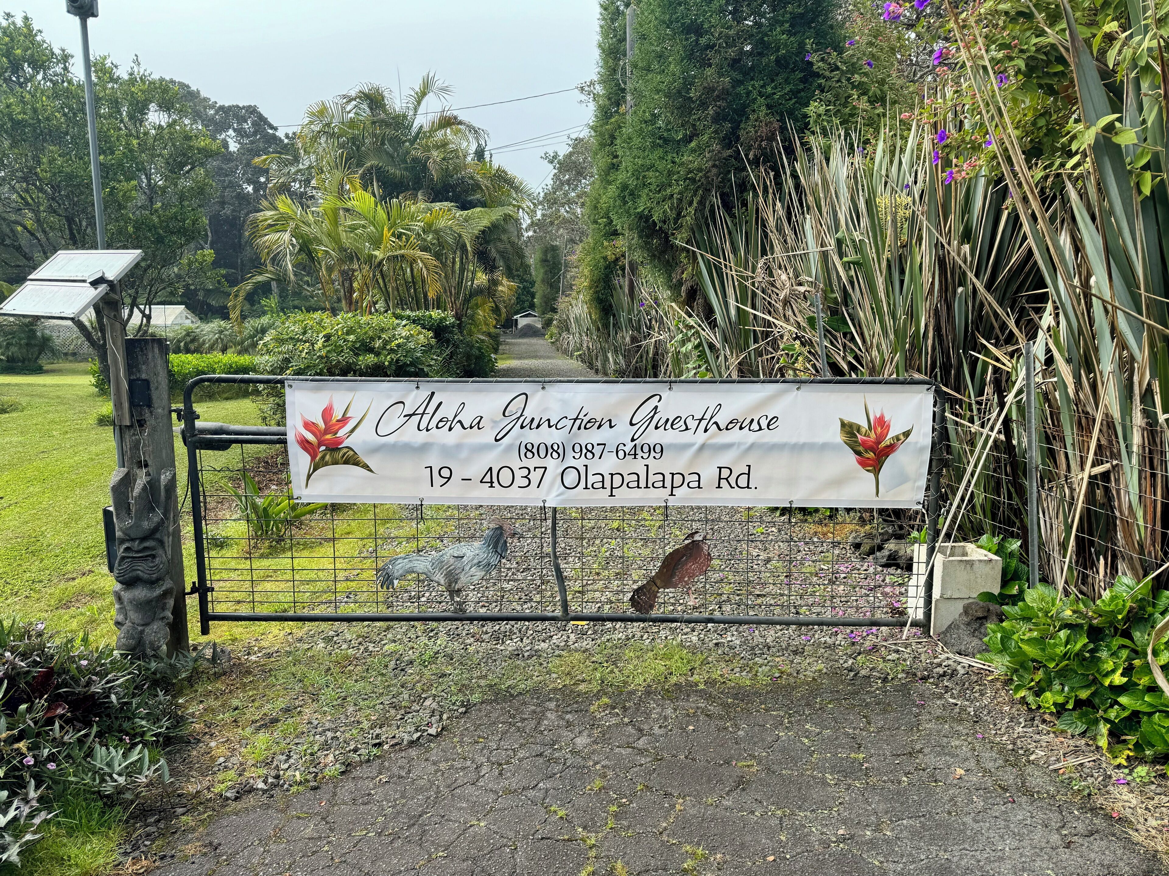 A sign for Aloha Junction Guesthouse with contact details and address.