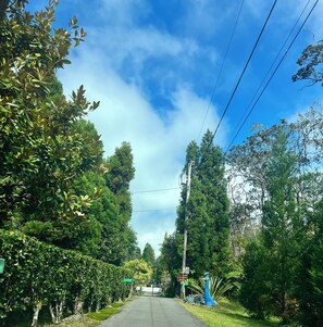 A road flanked by lush greenery and a clear sky. - Aloha Junction Bed and Breakfast (Volcano)