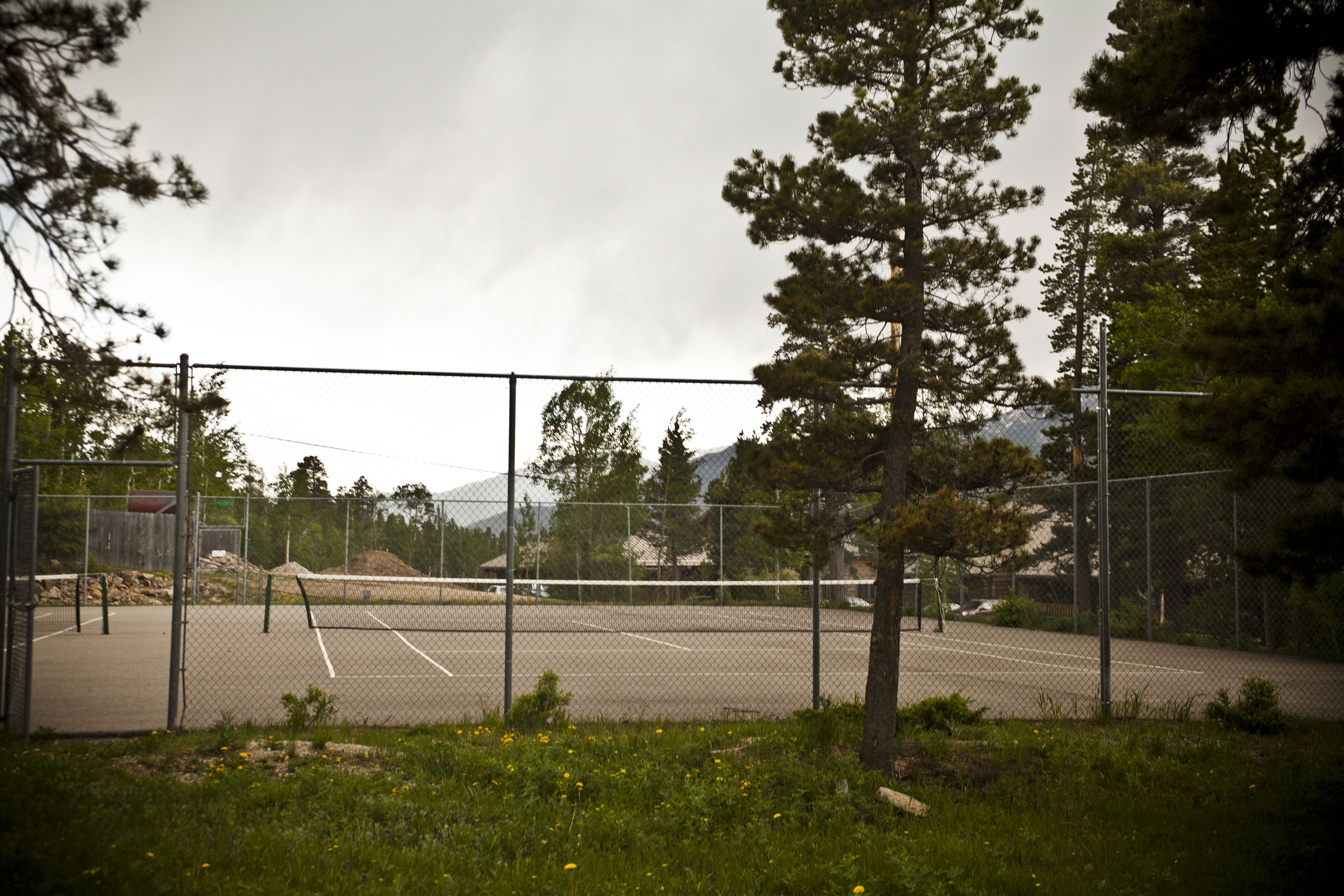 A fenced tennis court with a net in the center, surrounded by greenery and trees.