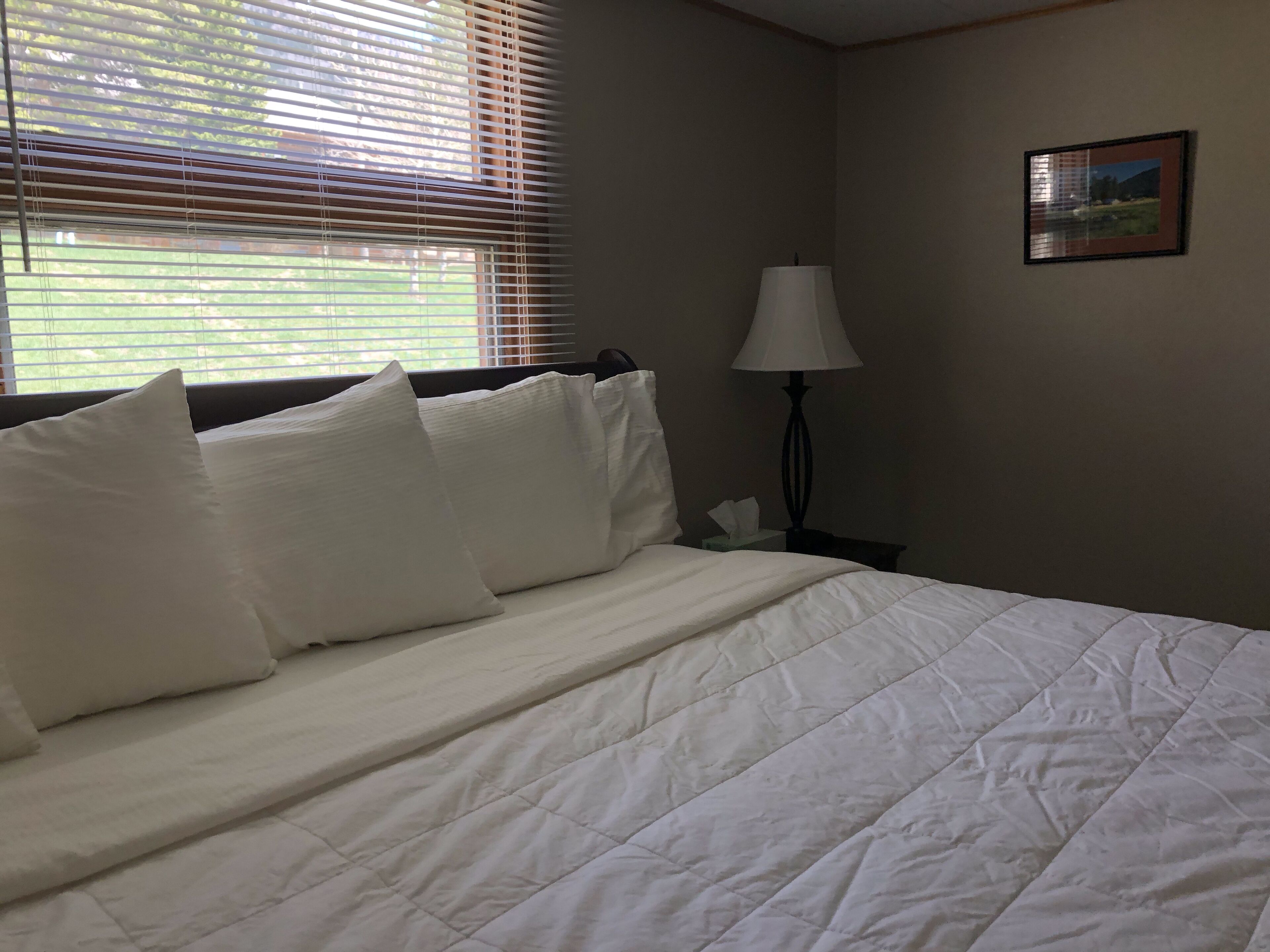 A neatly made bed with white bedding, a bedside table with a lamp, and a framed picture on the wall.