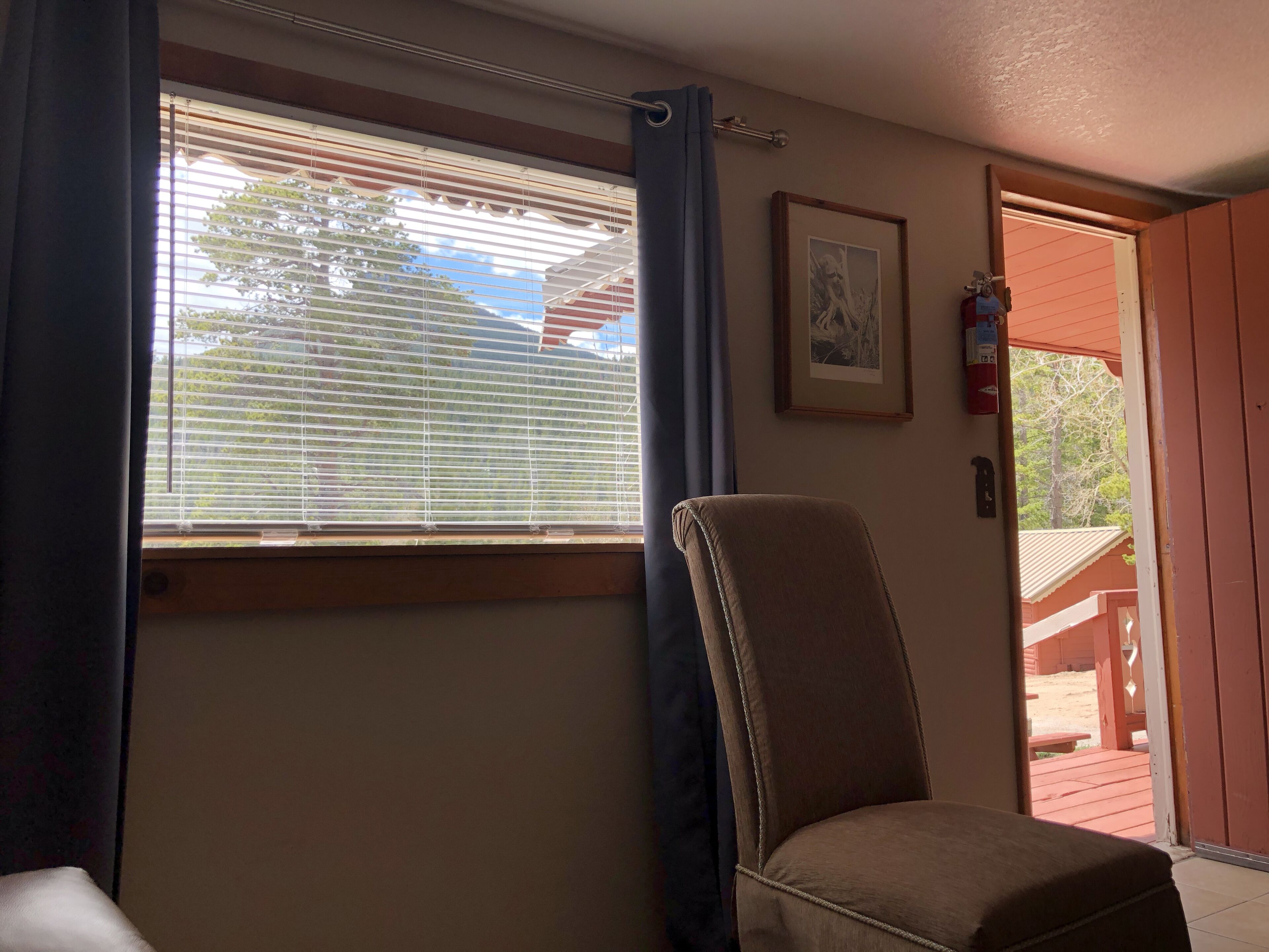 A room with a window, a chair, a framed picture, and a door leading outside.