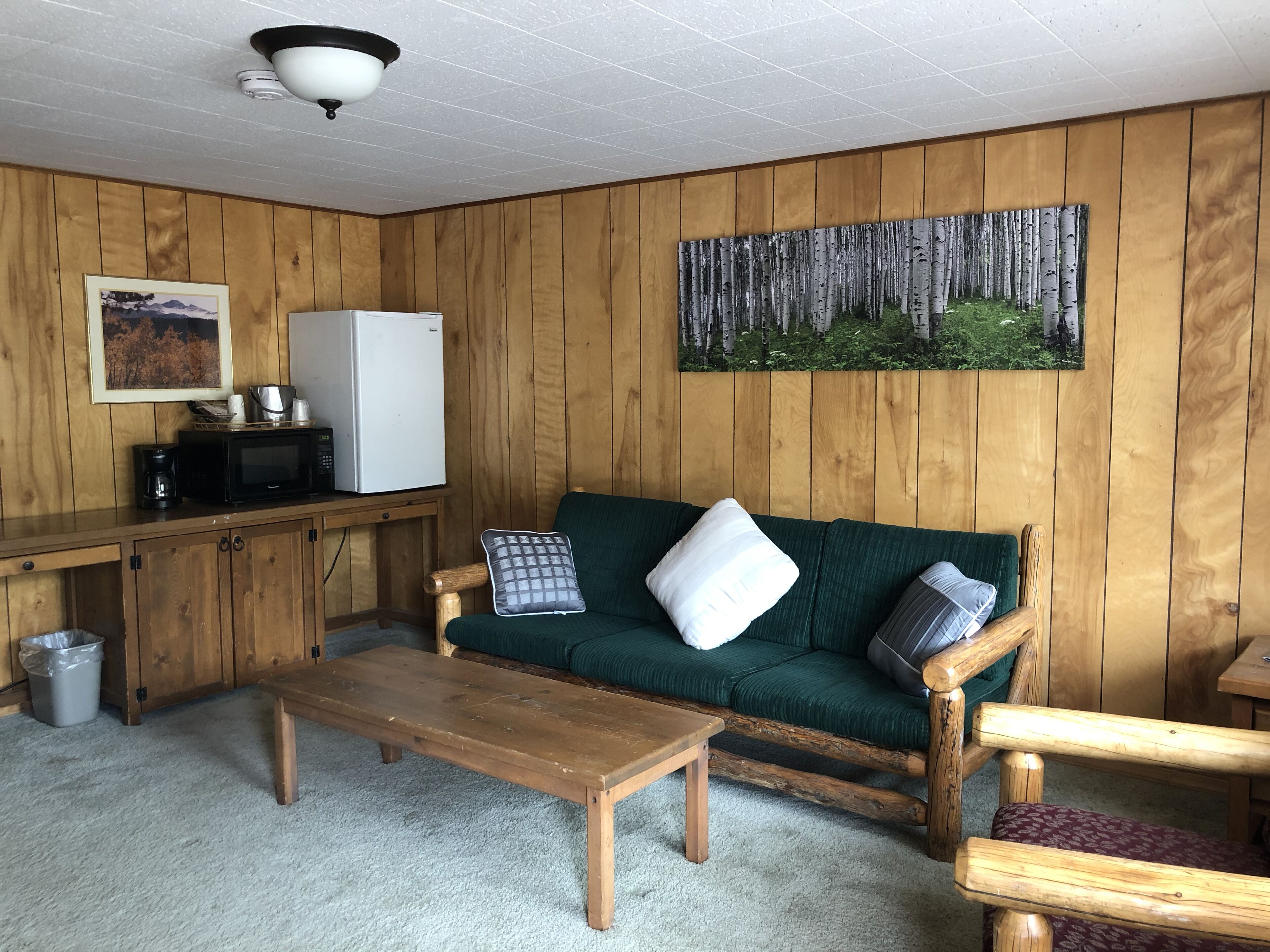 Une pièce aux murs lambrés, avec un canapé vert, une table basse en bois, un réfrigérateur blanc et un tableau représentant des bouleaux accroché au mur.
