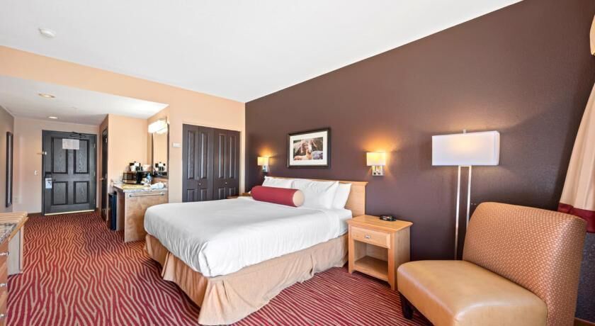 Sábanas de algodón egipcio, ropa de cama de alta calidad y edredón 