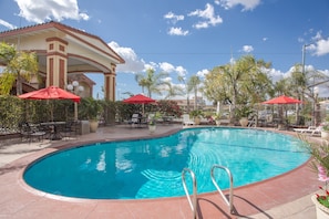 Outdoor pool, pool umbrellas, sun loungers