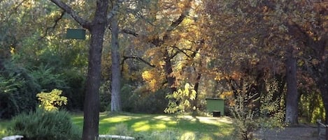 Parco della struttura