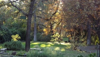 Backyard Garden Oasis