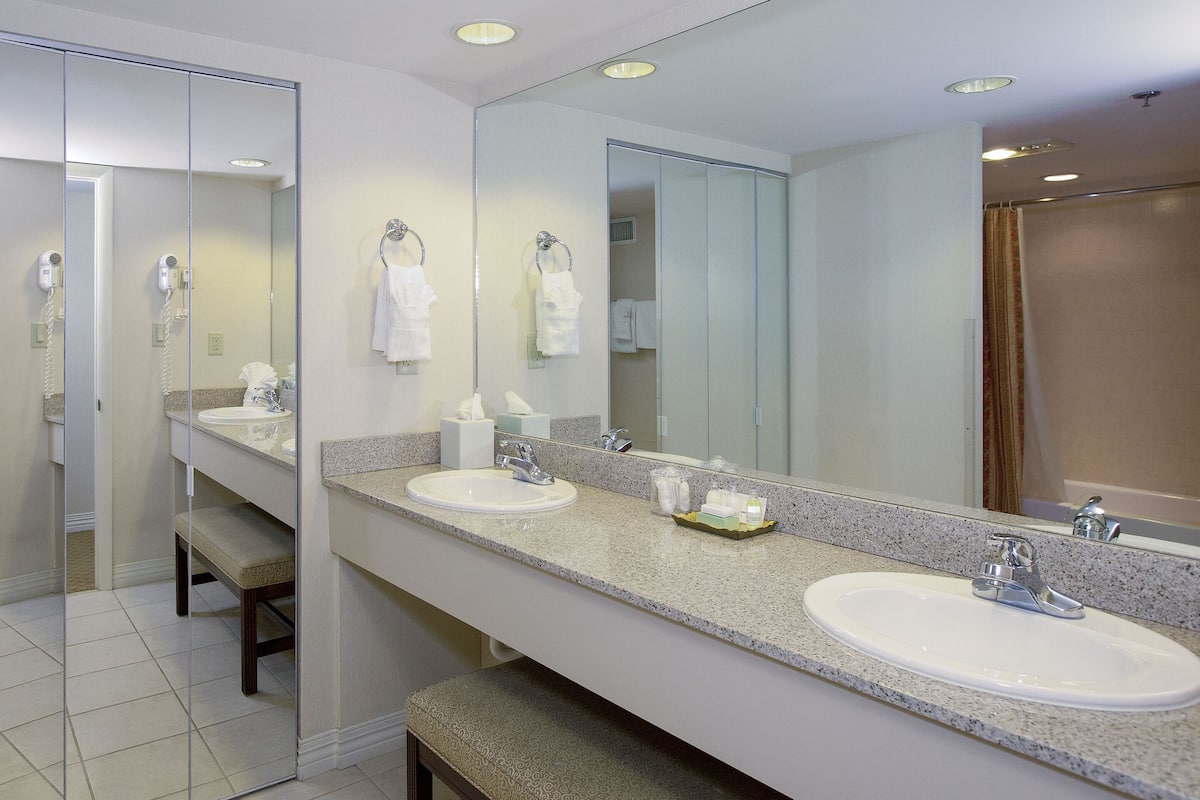 combined shower/bathtub, free toiletries, hair dryer, towels