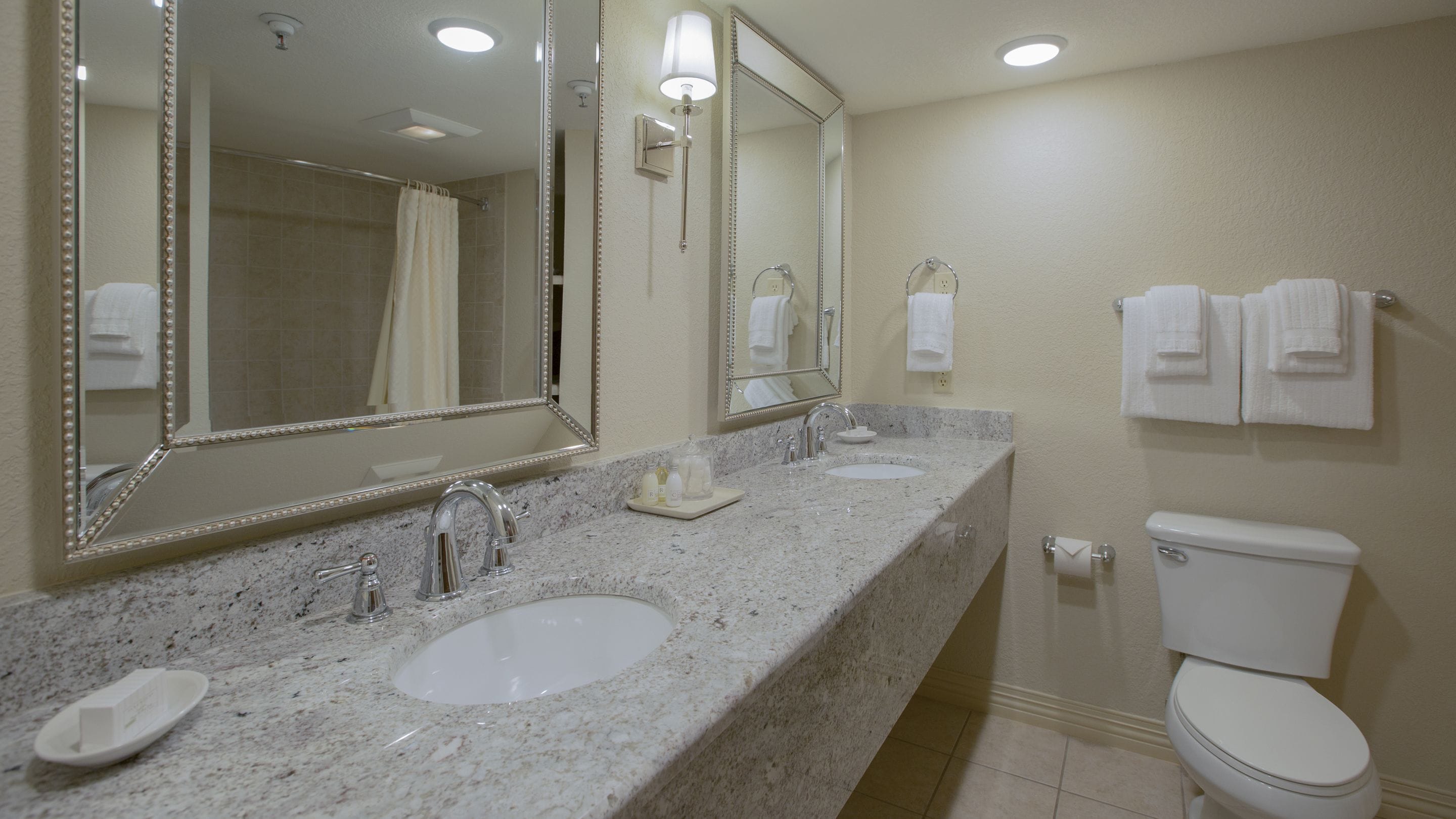 combined shower/bathtub, free toiletries, hair dryer, towels