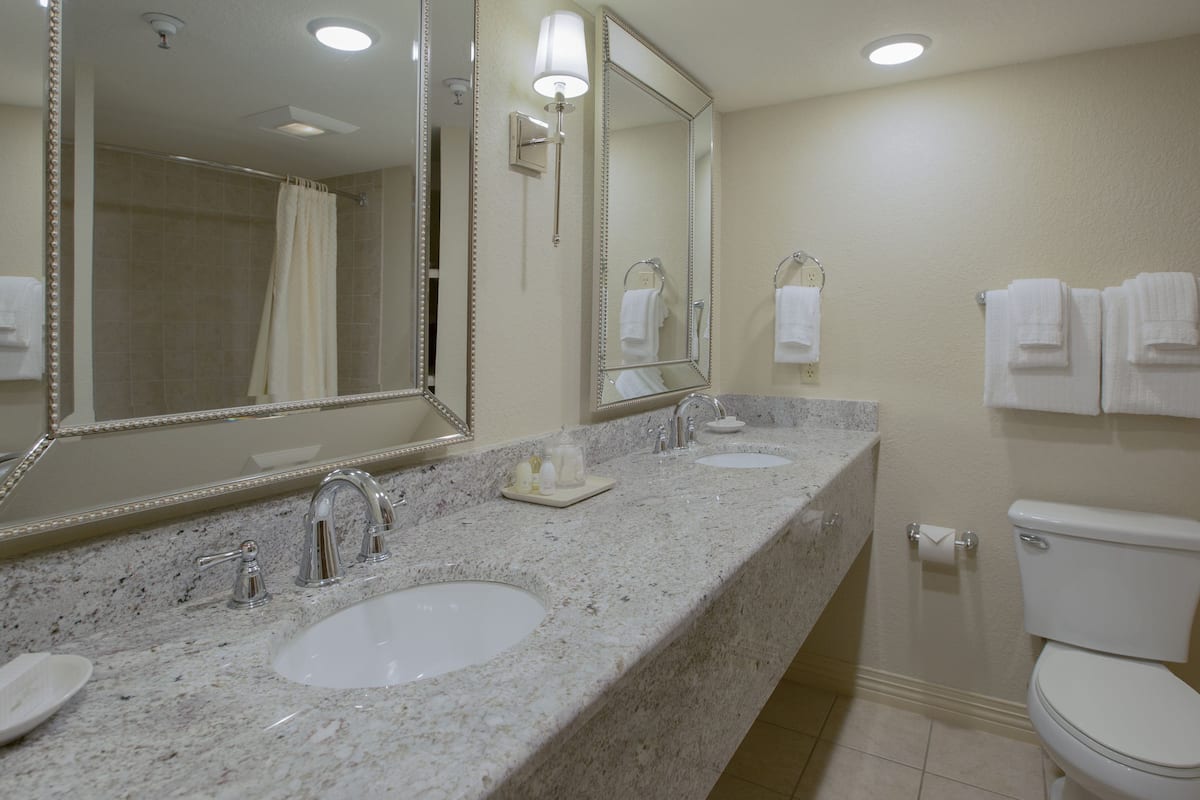 combined shower/bathtub, free toiletries, hair dryer, towels