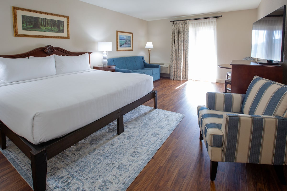 Quarto de hotel com uma cama grande, um sofá, uma televisão e uma escrivaninha.
