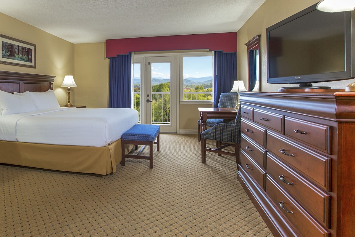 Quarto de hotel com uma cama, penteadeira, televisão e vista para o exterior.