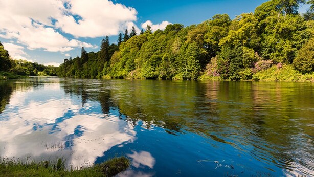A calm river with dense green trees on the banks. - Ballathie House Hotel (Perth)