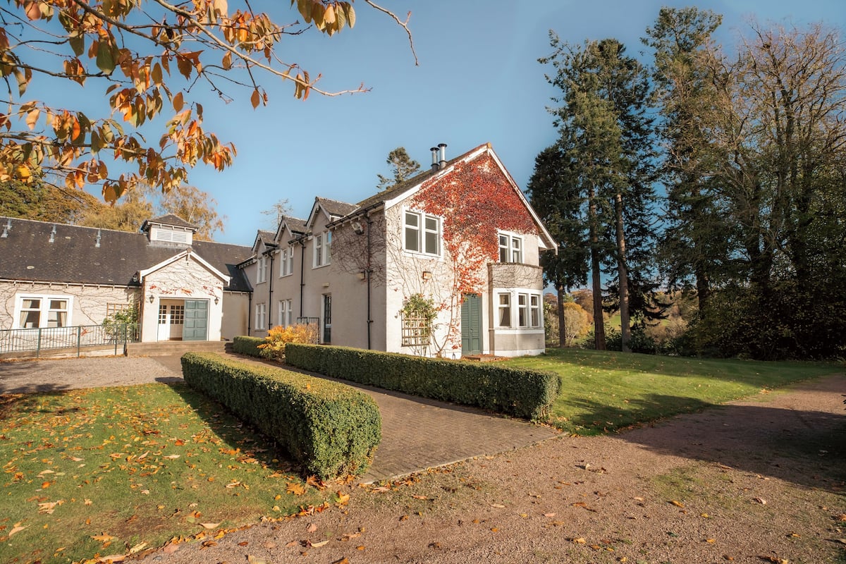 Premium bedding, individually decorated, individually furnished, desk