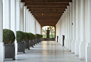 Terassi/patio