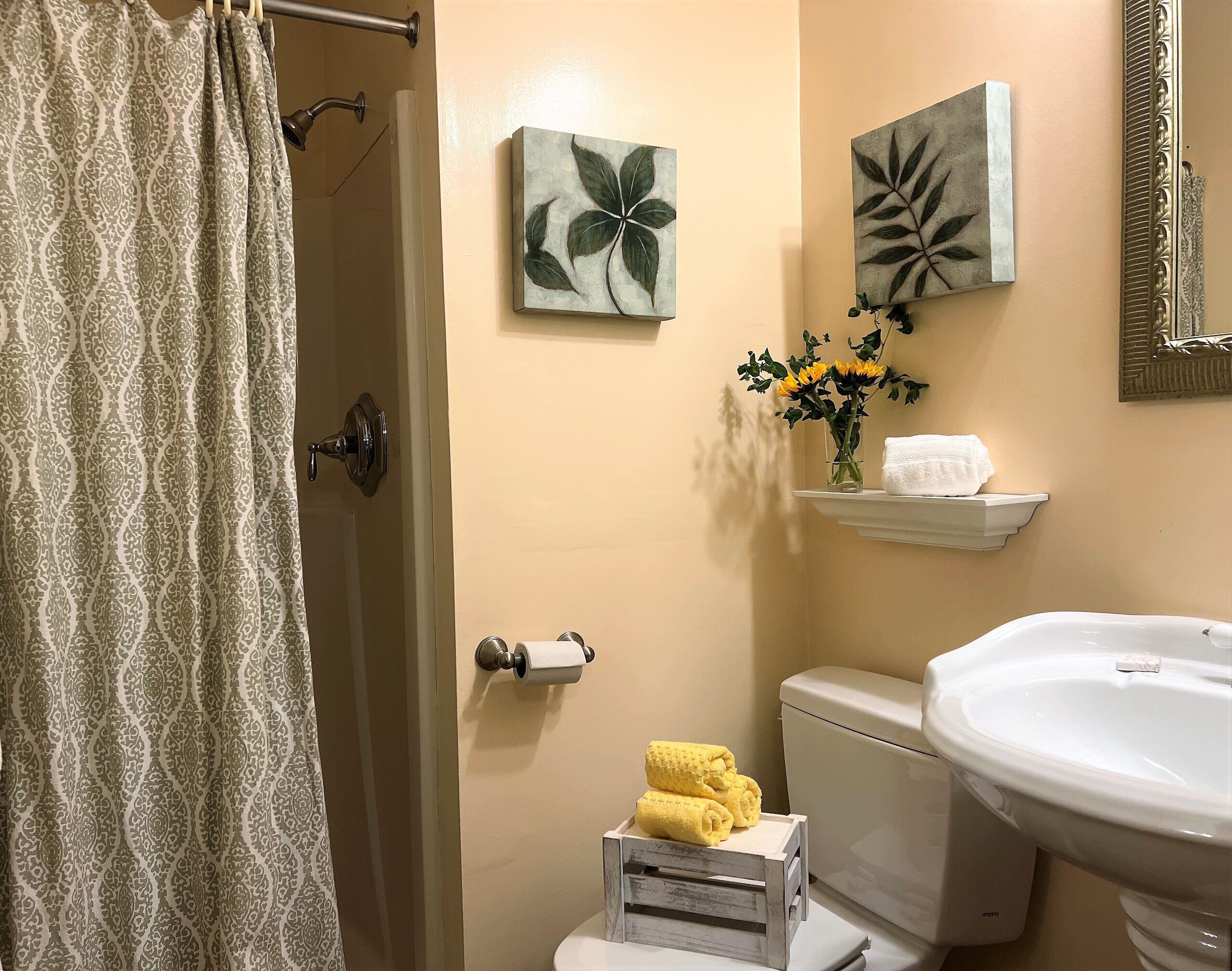 free toiletries, hair dryer, towels